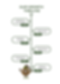 GROWTH TIMELINE (5).png