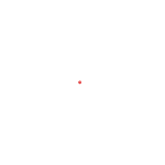 new.gif