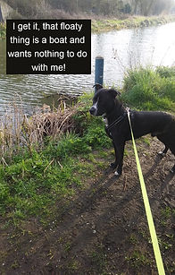 FB_IMG_1784720385160_edited.jpg