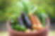 IMG_0552.jpeg