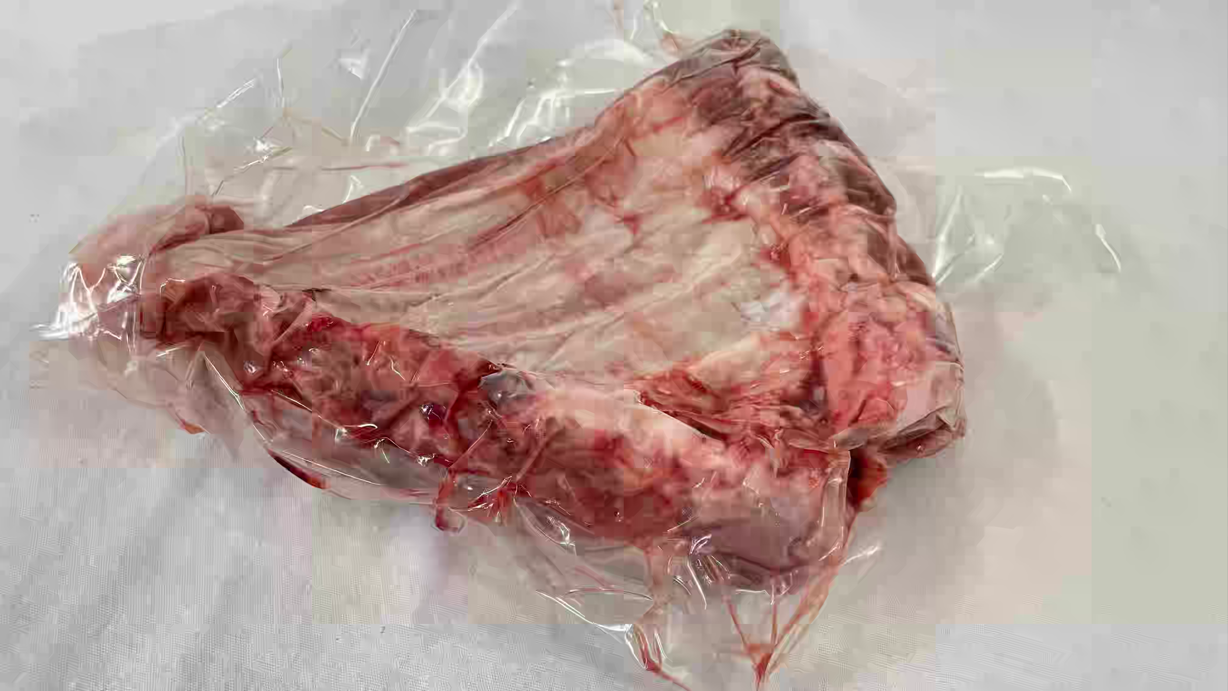 走る豚/（業務用）スペアリブ　920g