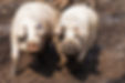 DSC05693.JPG