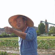 稲坂さんの無農薬米
イセヒカリ