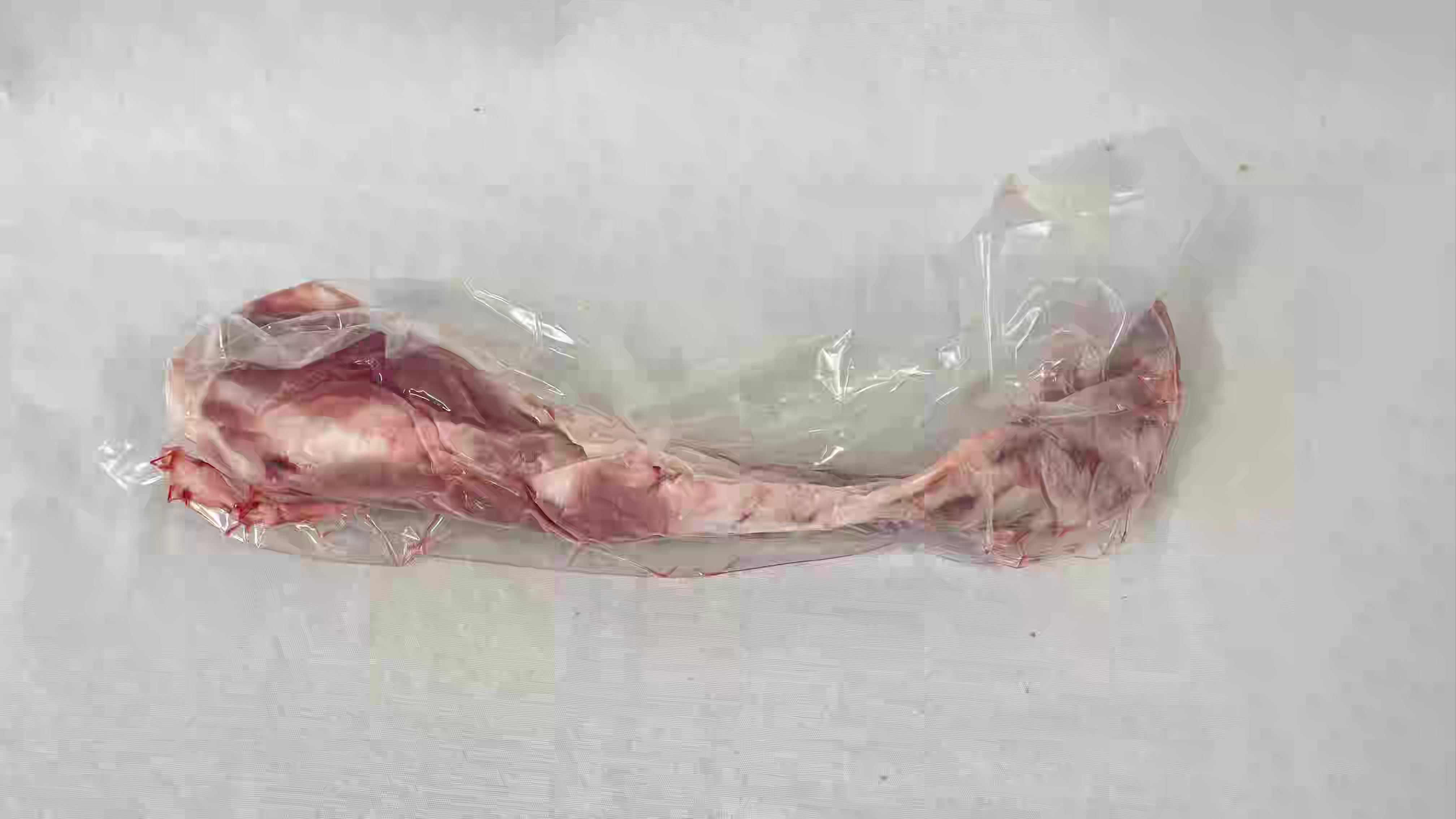 走る豚/（業務用）ナンコツ　480g