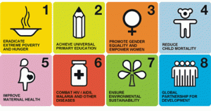 The Millenium Development Goals