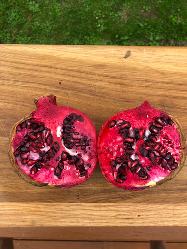 Tell If Are Pomegranate Seeds Bad For You Know If Pomegranate Bad