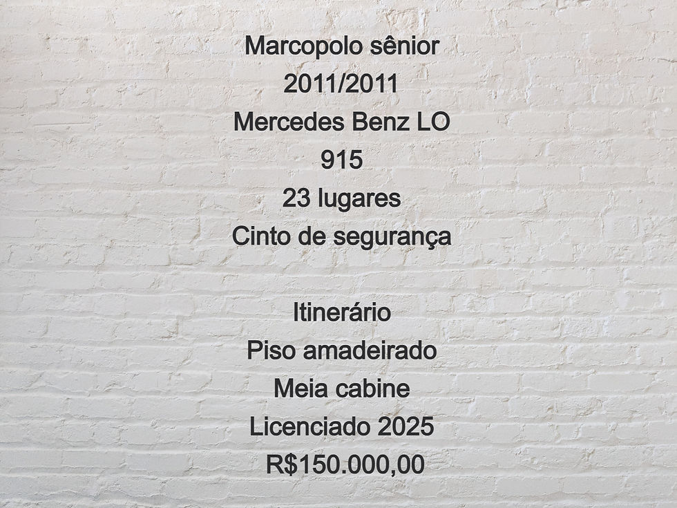 Marcopolo sênior 2011_2011 (Descrição)