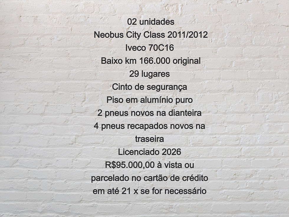 Neobus City Class 2011_2012 (Descrição)