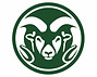 csu.jpg