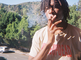POOKIE PROFILE: HenHouse