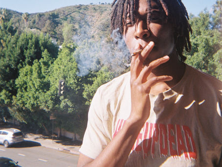 POOKIE PROFILE: HenHouse