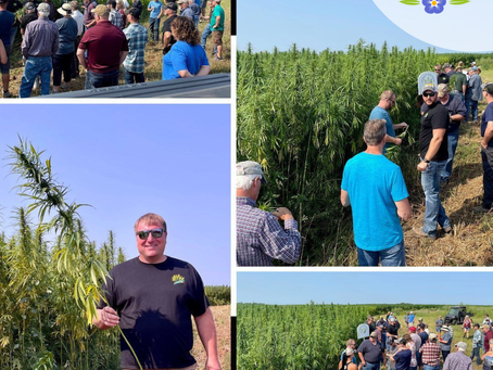 Horizon Specialty Seeds and Verve Seed Solutions Partner to Advance Certified Industrial Hemp Seed Genetics in the U.S.