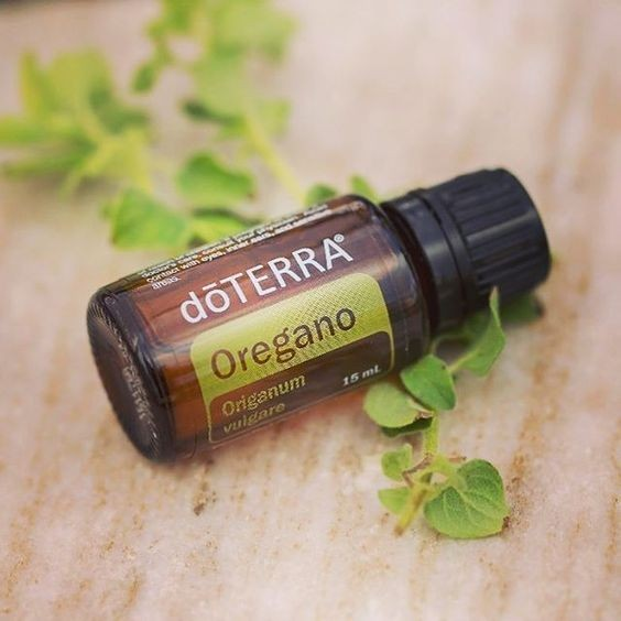 Thumbnail: doTERRA Oregano Oil