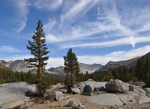 JMT_1381.jpeg