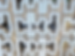 IMG_4157_edited.png