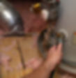 Hand attaches hose to a home water heater to perform maintenance_edited.jpg