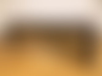 マリンバがやってきました!!