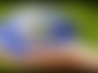 VISION FOR THE “FREE” POST-CORONA WORLD!