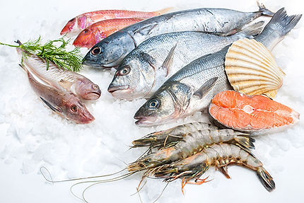 鮮魚店様向け氷