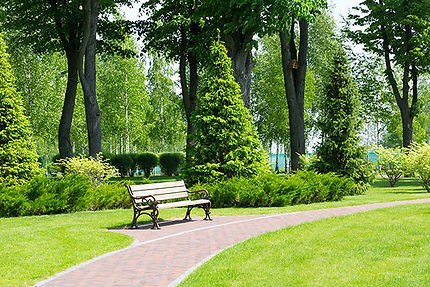 公園などの公共工事も。