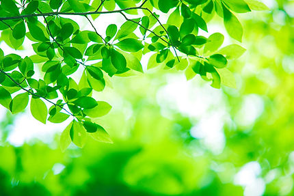 生活習慣病の健康相談いたします。