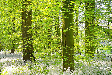 地域密着の安心感