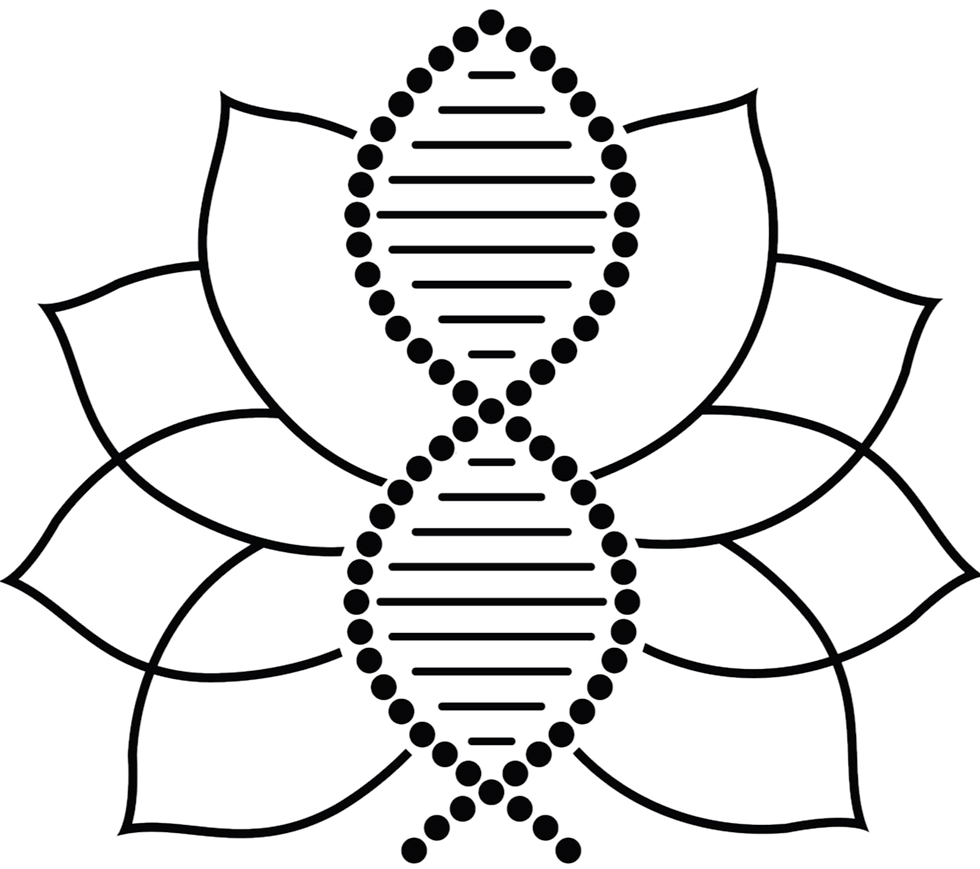 Logo No Background