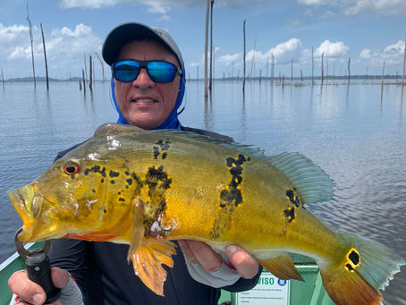 Vamos pescar no Lago Balbina no Amazonas!
