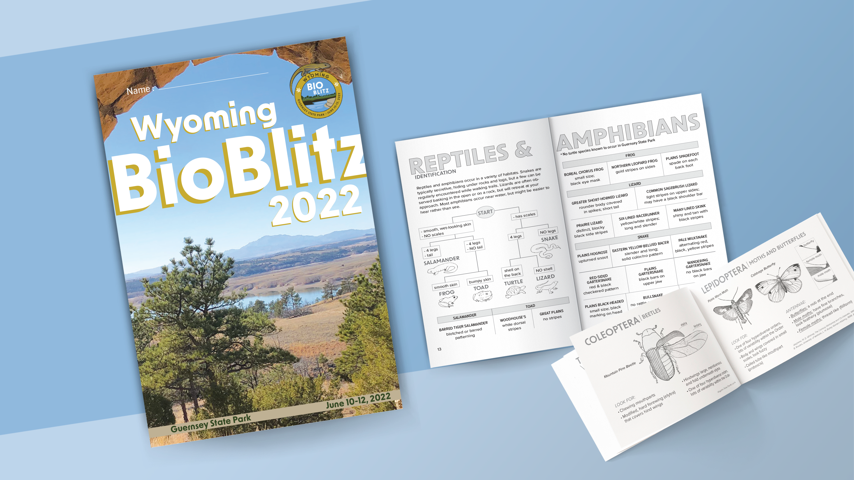 BioBlitz 2022