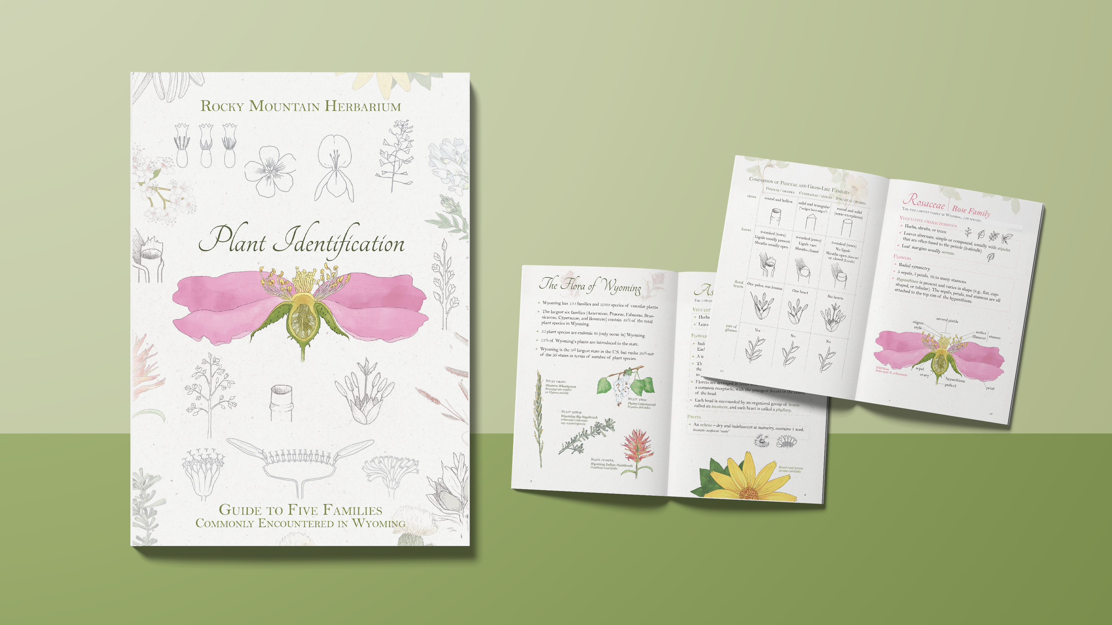 Rocky Mountain Herbarium Plant Identification Booklet