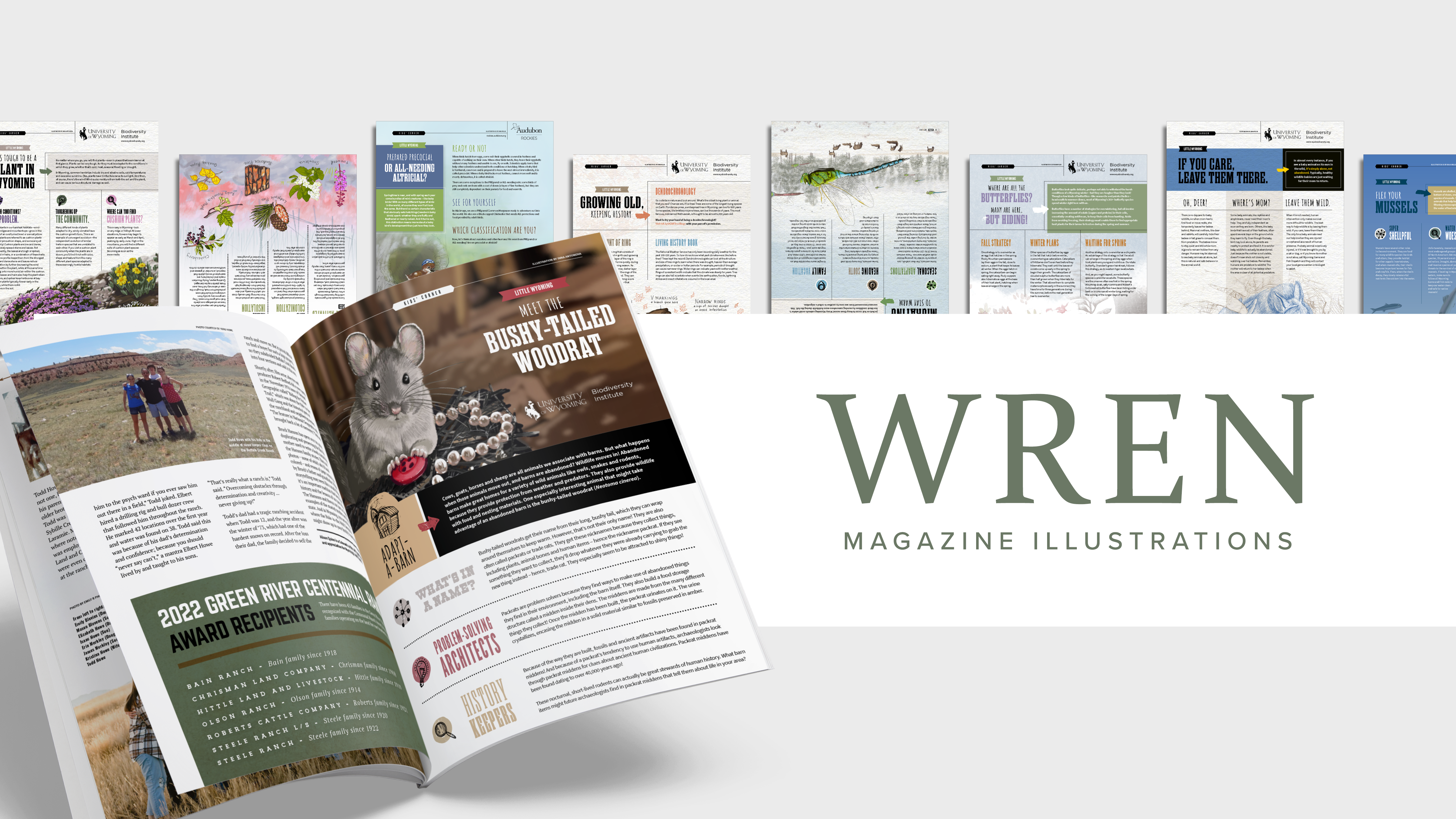 WREN Magazine Illustrations