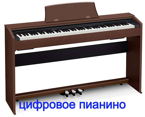 870e371ee70bb3db1f00fef531d15a84_edited.