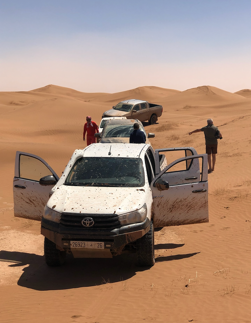Trois 4x4 blancs couverts de boue dans le désert. Deux personnes discutent, deux explorent à pied. Sable et dunes sous ciel bleu.