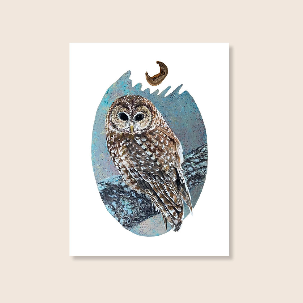 night owl with crescent moon artwork, quiet, calm, giftable 9x12 nature art print by zoe mae art, minnesota, quality art