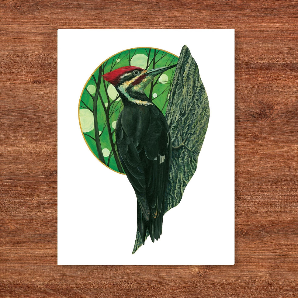 Thumbnail: "Haloed in the Trees" 9x12 medium fine art print, Pileated woodpecker on a tree haloed by a circle enclosing a sunlit forest