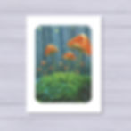 Greeting card, woodland fantasy painting by zoe mae art, red mushroom and fairy lights, whimsical nature keepsake gift