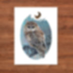 night owl with crescent moon artwork, quiet, calm, giftable 9x12 nature art print by zoe mae art, minnesota, quality art