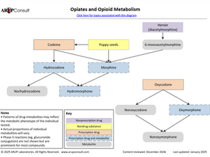 What Your Metabolites Say About You: How Metabolism Patterns Power Modern Lab Testing