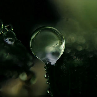 Regnerischer Aufstieg . Wasser Fotografie . 2024