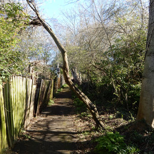 Pole Hill in Epping Forest