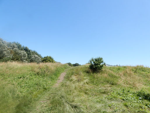 Mudchute Farm