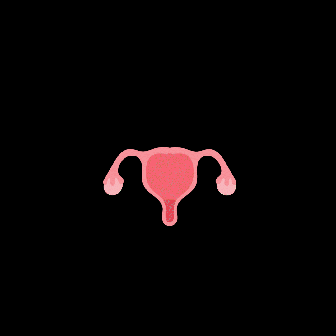 Cycle_1.gif