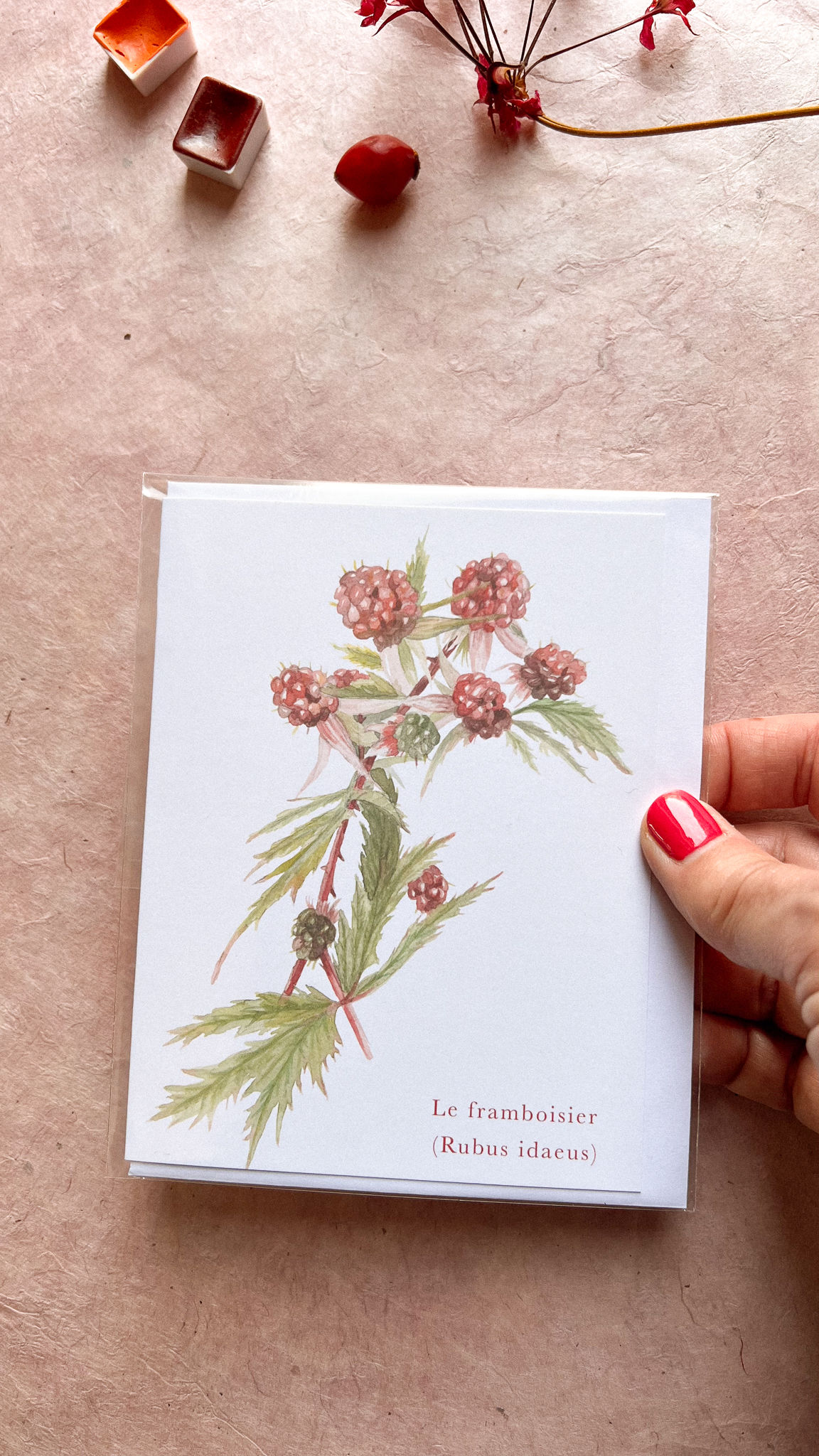 carte le framboisier - carte verticale