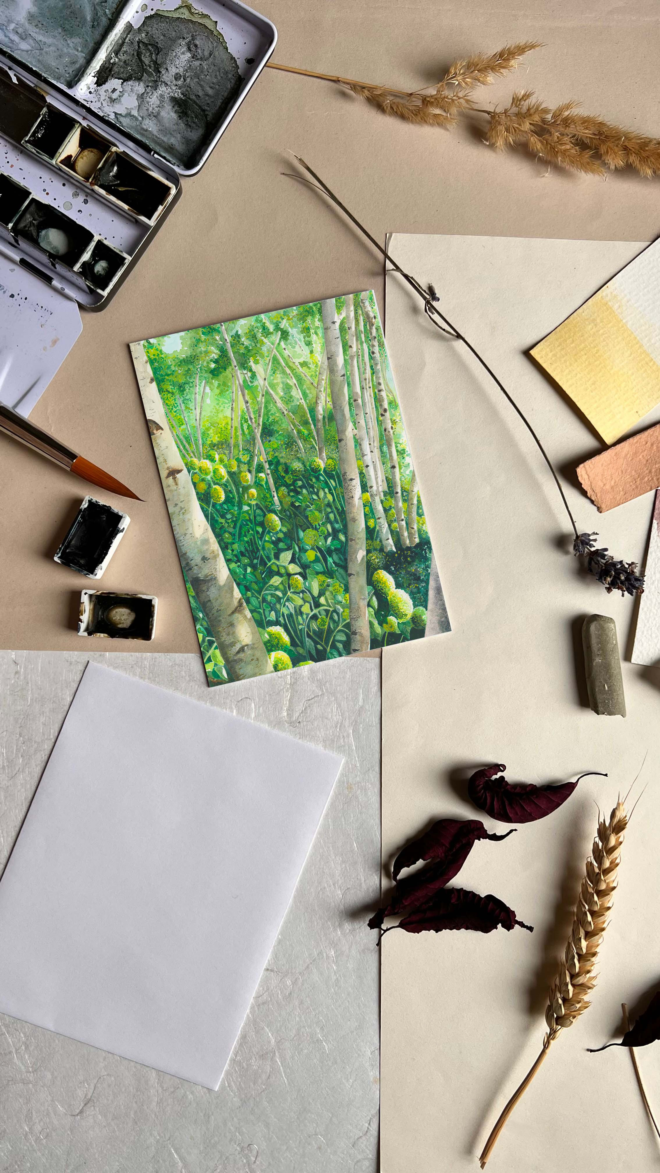 chicago botanic garden map - large format