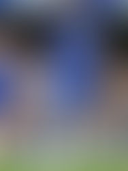 Ramires: sinônimo de raça