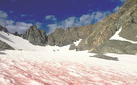 Le réveil de la source