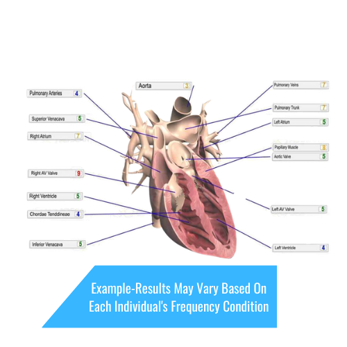 comprehensive scan example.png