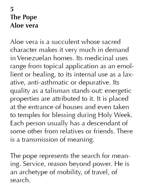 5 The Pope
