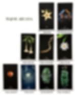 Major Arcana