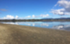 IMG_1708.jpeg